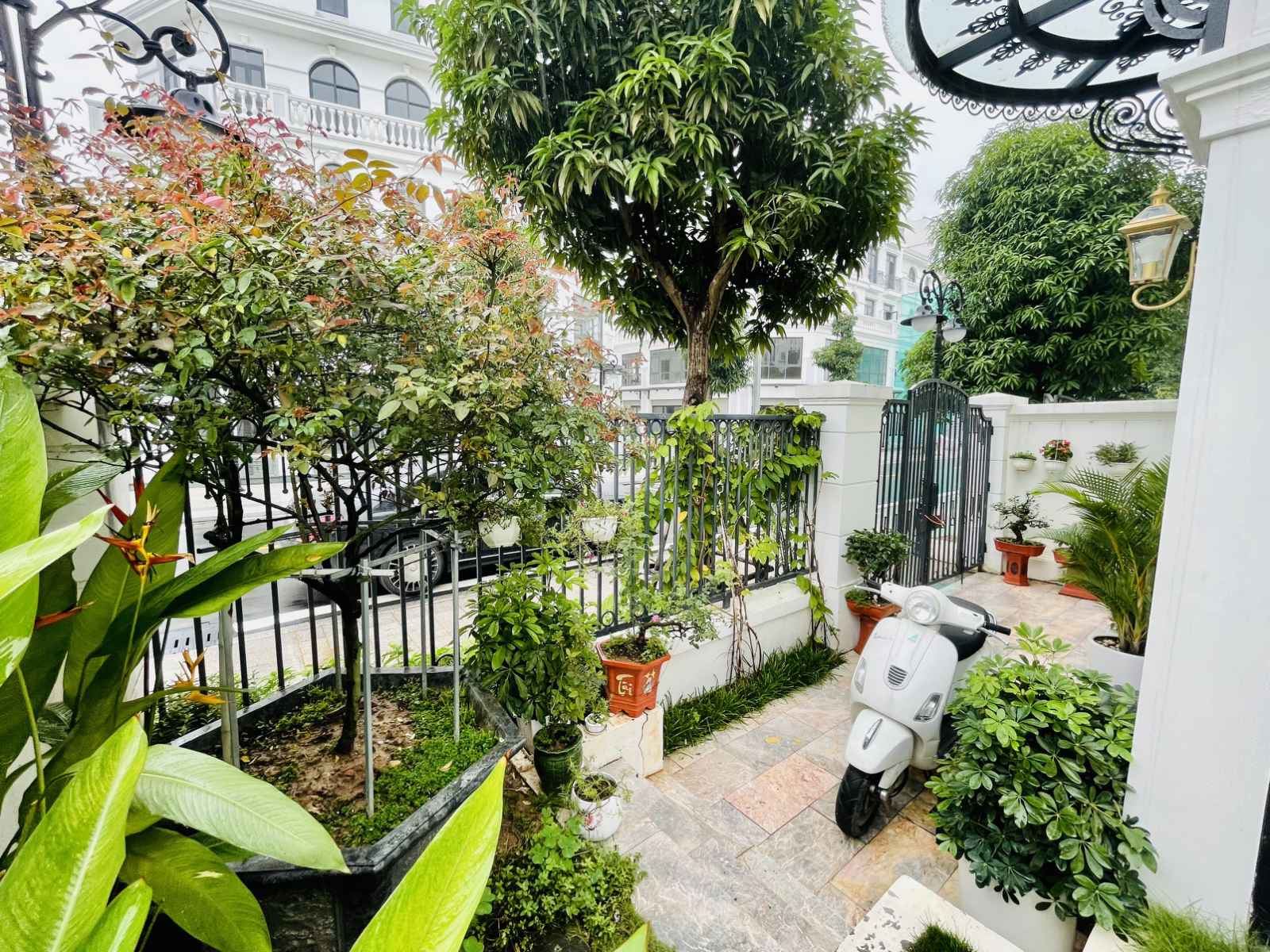 ảnh_Viber_2021-11-02_10-58-46-703